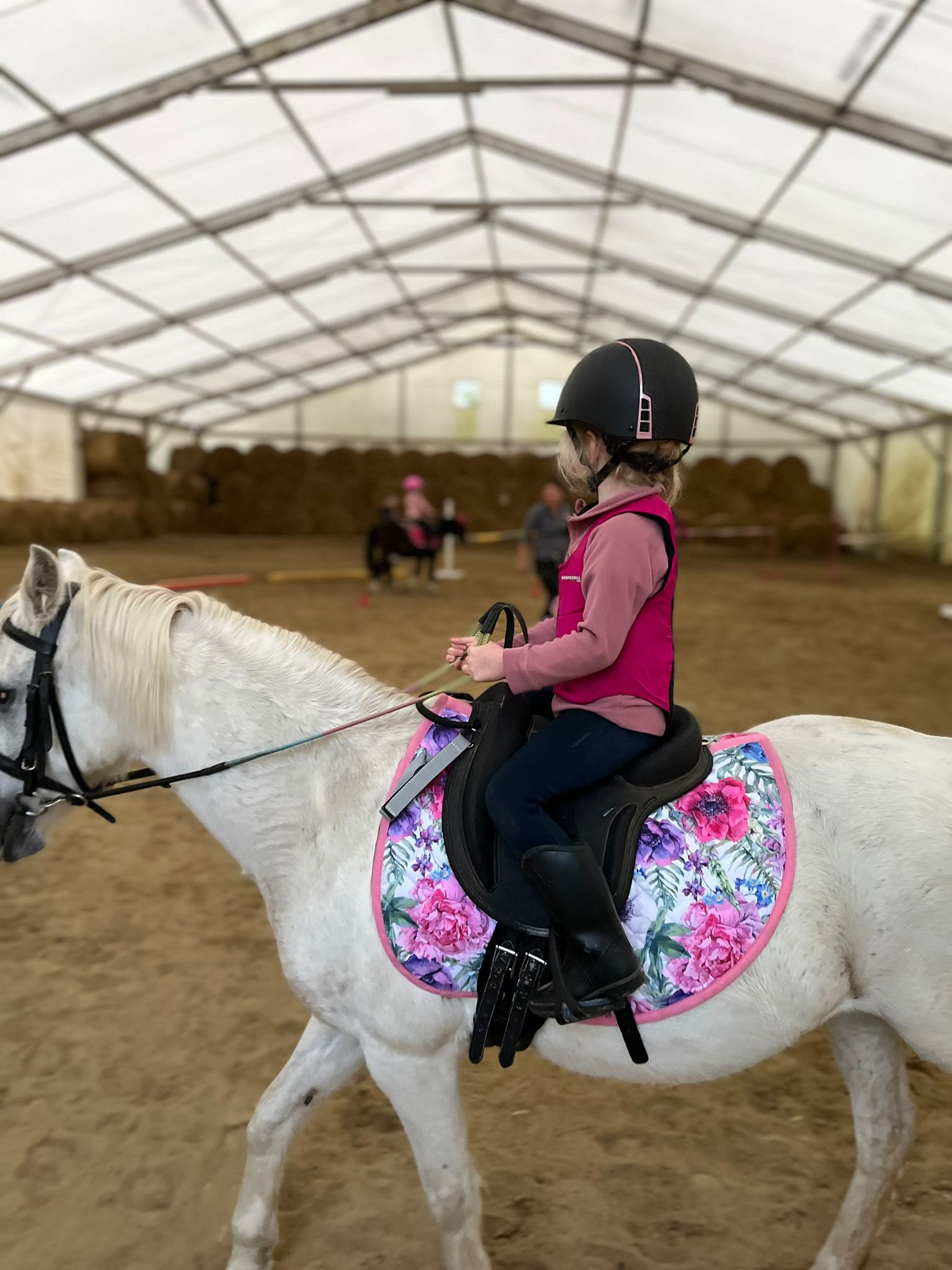 Akademia Podkówki – oswajanie i hipoterapia