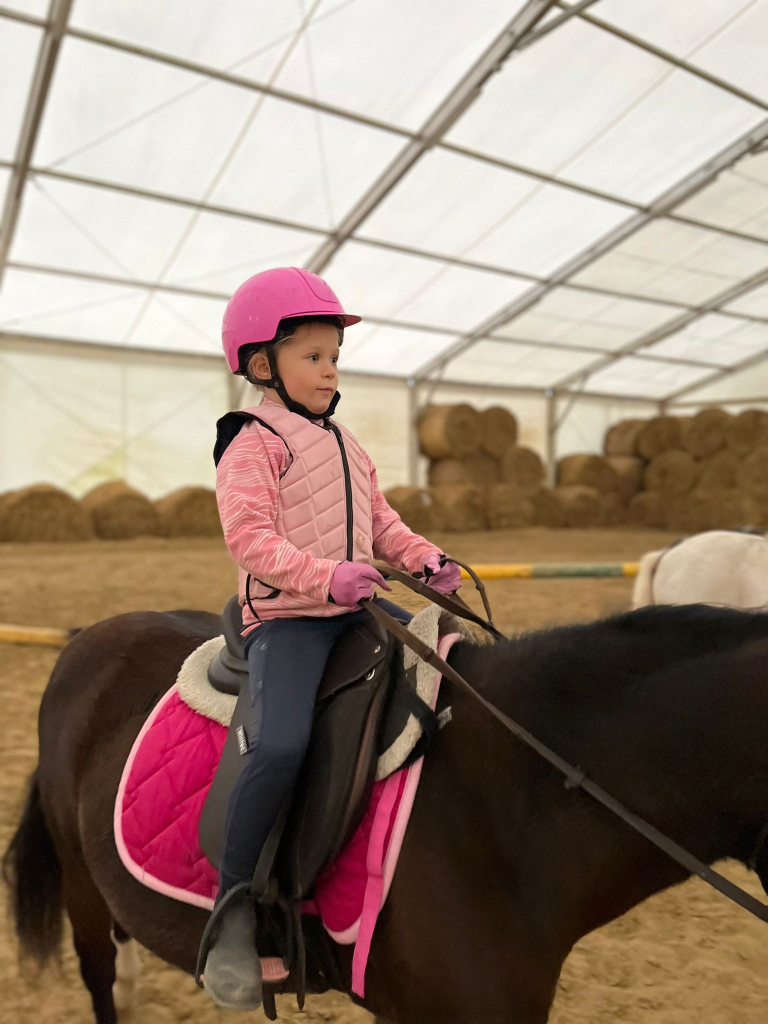 Akademia Podkówki – pierwsze kroki w siodle