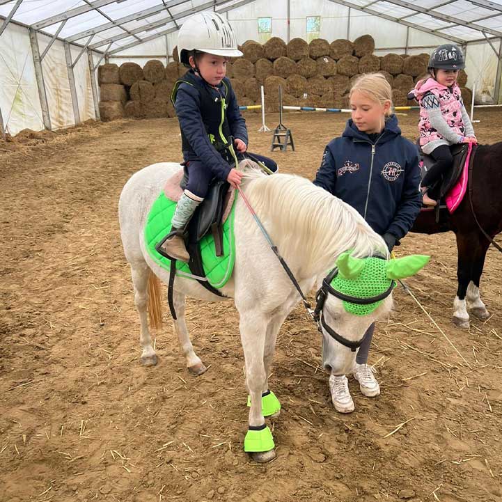 Nauka jazdy konnej w JKS Olsza