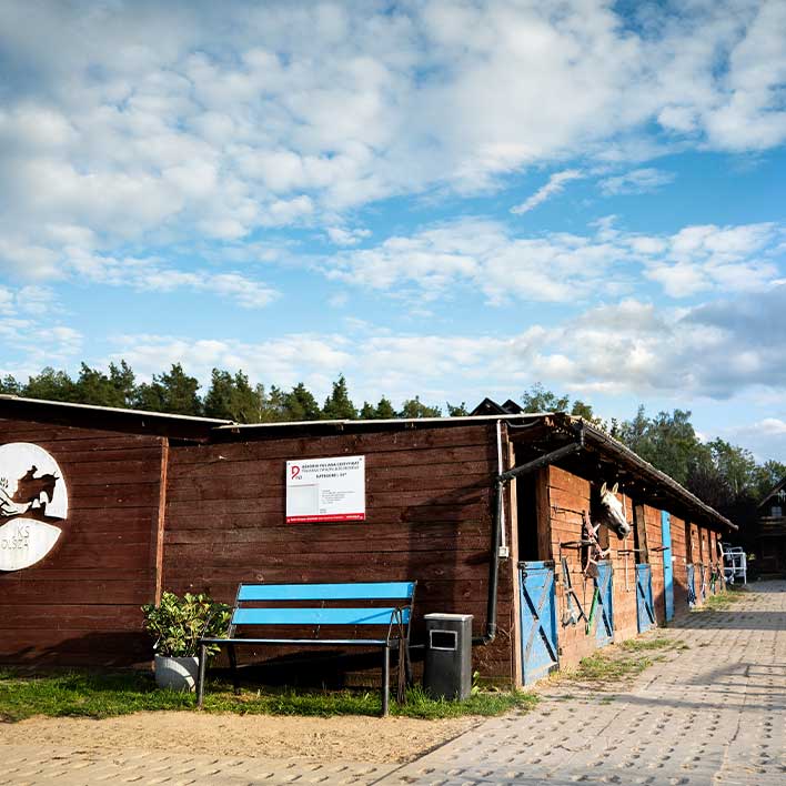 Pensjonat dla koni i treningi w JKS Olsza