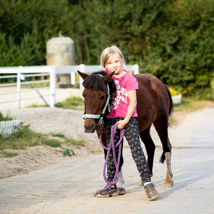 Pensjonat dla koni i treningi w JKS Olsza