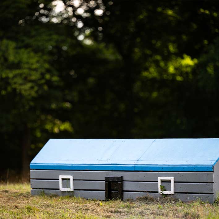 Pensjonat dla koni i treningi w JKS Olsza